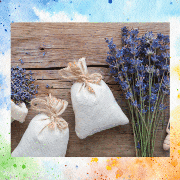 sachê perfumado de lavanda