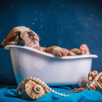 spa em família spa em casa