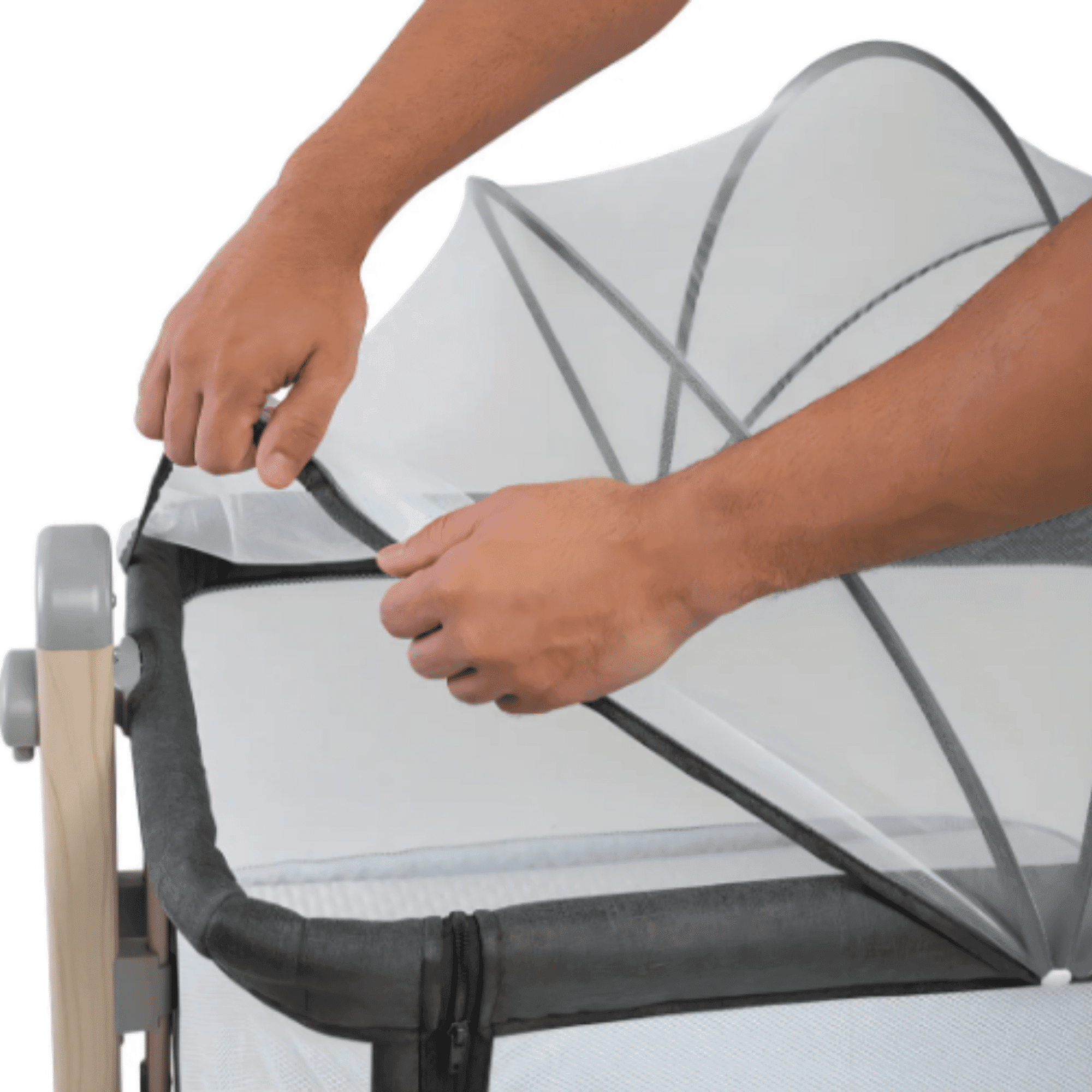 berço co-bed safety 1st - mosquiteiro berço co-bed safety 1st com mosquiteiro